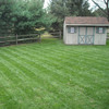 Lawn Stryper - Pattern Your Lawn Like The Pros