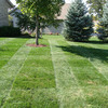 Lawn Stryper - Pattern Your Lawn Like The Pros