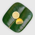 Leaf-Shaped Beeswax Food Wraps
