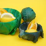 Leaf-Shaped Beeswax Food Wraps