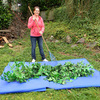 Leaf and Yard Waste Collection Tarp