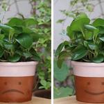 Leaflow - Leaf-Shaped Plant Watering Funnels