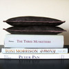 Leather Beanbag Bookends
