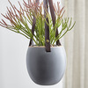 Leather Strap Hanging Planter