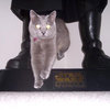 LeBistro - Automatic Portion Control Pet Feeder