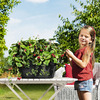 Lechuza Cascada - Stackable Self-Watering Planters