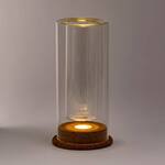 LED-Illuminated Glass Flower Vase