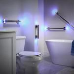 LED Illuminated Grab Bars