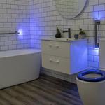 LED Illuminated Grab Bars