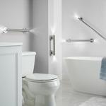 LED Illuminated Grab Bars