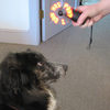 LED Programmable Message Fan