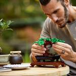 LEGO Bonsai Tree - 878 Pieces!