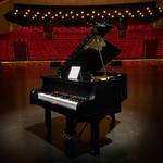 LEGO Grand Piano - 3,662 Pieces!