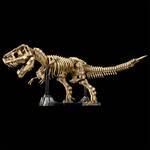 LEGO Tyrannosaurus Rex Skeleton - 3,145 Pieces!