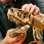 LEGO Tyrannosaurus Rex Skeleton - 3,145 Pieces!
