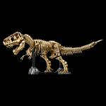 LEGO Tyrannosaurus Rex Skeleton - 3,145 Pieces!