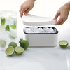Lekue Ice Box - Makes, Stores, and Serves Ice Cubes