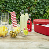 Lekue Ice Box - Makes, Stores, and Serves Ice Cubes