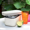 Lekue Ice Box - Makes, Stores, and Serves Ice Cubes