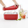 Lekue Ice Box - Makes, Stores, and Serves Ice Cubes