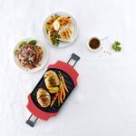 Lekue Microwave Grill / Panini Press