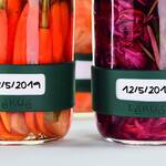 Lekue Pickling and Fermenting Kit