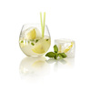 Lekue XL Ice Cube Tray - Makes Perfectly Square Fruit / Herb Ice Cubes