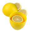 Lemon Saver