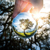 Lensball - Photography Sphere / Crystal Ball