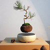 Levitating Air Bonsai Pot