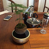 Levitating Air Bonsai Pot