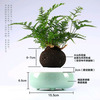 Levitating Air Bonsai Pot