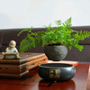 Levitating Air Bonsai Pot