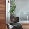 Levitating Air Bonsai Pot