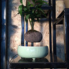 Levitating Air Bonsai Pot