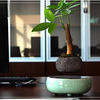 Levitating Air Bonsai Pot
