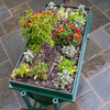 LGarden - Elevated Gardening System