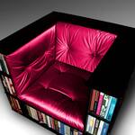 The Library Chair - Holds More Than 300 Books!