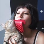 Licki Brush - Cat Grooming Tongue Brush