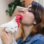 Licki Brush - Cat Grooming Tongue Brush