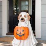 Life-Size Ghost Dog Halloween Candy Bowl