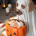 Life-Size Ghost Dog Halloween Candy Bowl