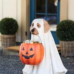 Life-Size Ghost Dog Halloween Candy Bowl