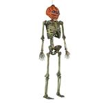 Life-Size Posable Pumpkin Skeleton with LCD LifeEyes
