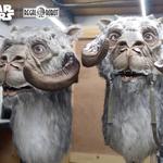 Life-Size Tauntaun Bust - Wall-Mounted Trophy Head