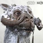 Life-Size Tauntaun Bust - Wall-Mounted Trophy Head