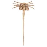 Life-Sized ALIEN Facehugger Mask