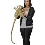 Life-Sized ALIEN Facehugger Prop Replica