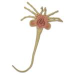 Life-Sized ALIEN Facehugger Prop Replica