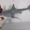 Life-Sized Great White Shark Statue - 12' Long!
